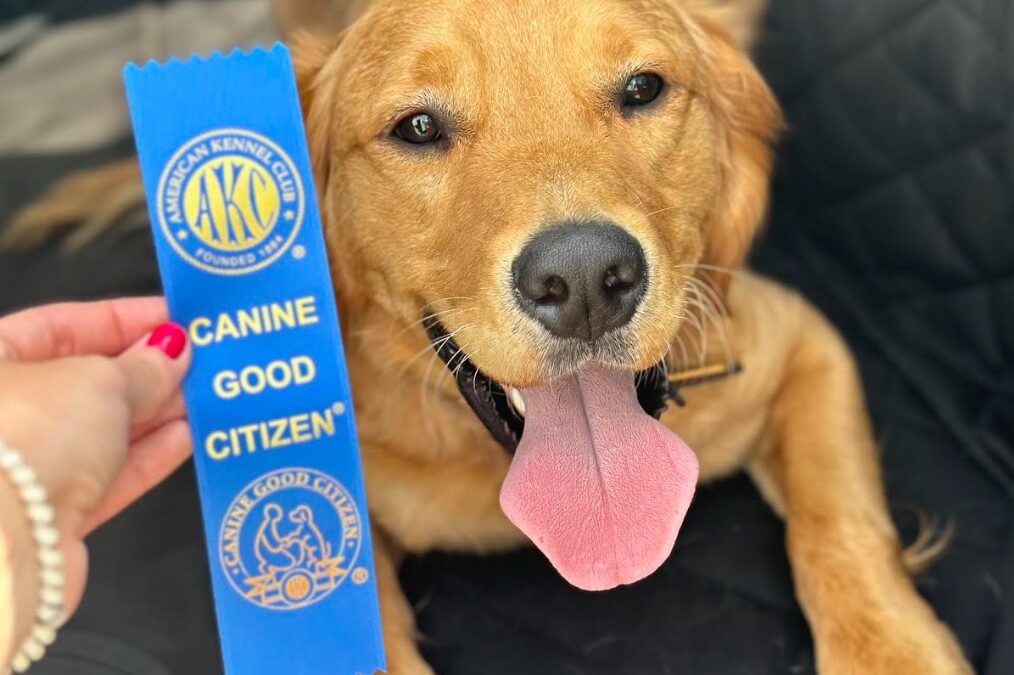 Celebrating Gunner’s Achievement!