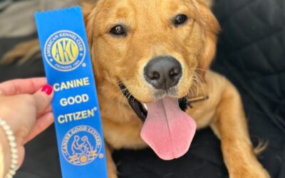 Celebrating Gunner’s Achievement!